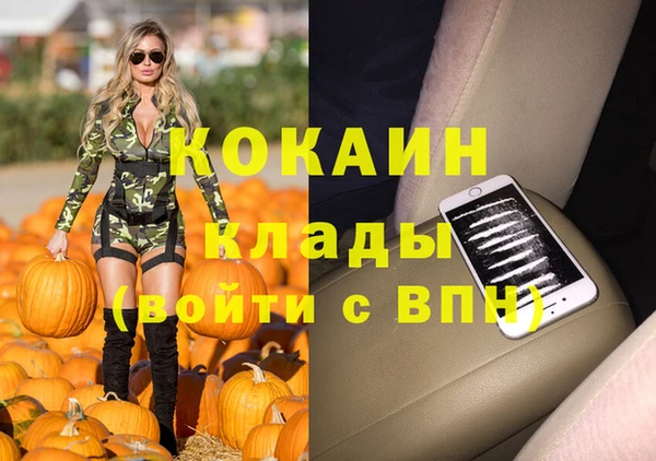 дурь Касимов