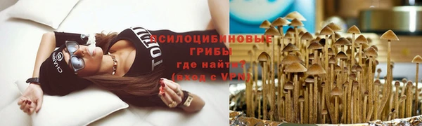 твердый Карталы