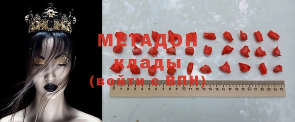 трава Карпинск