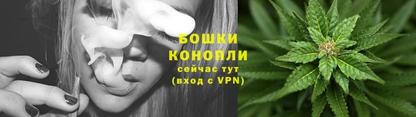 трава Карпинск