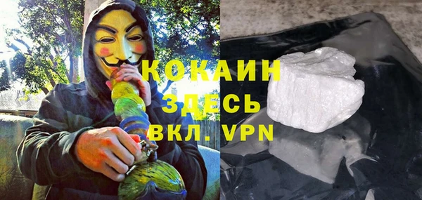 трава Карпинск