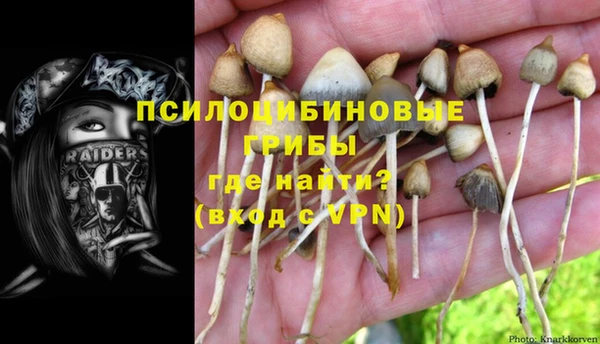 твердый Карталы