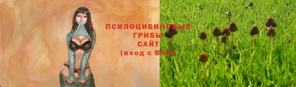 трава Карпинск