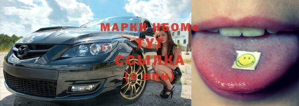 трава Карпинск