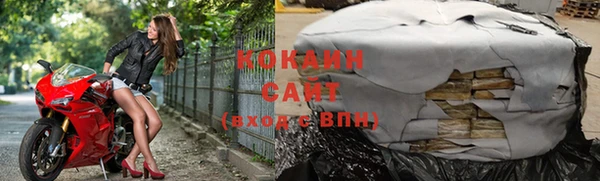трава Карпинск