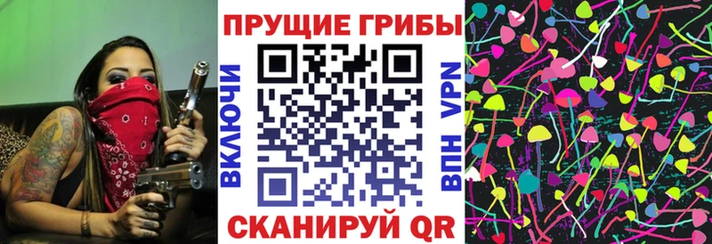 Купить  Малаховка  Галлюциногенные грибы мухоморы 